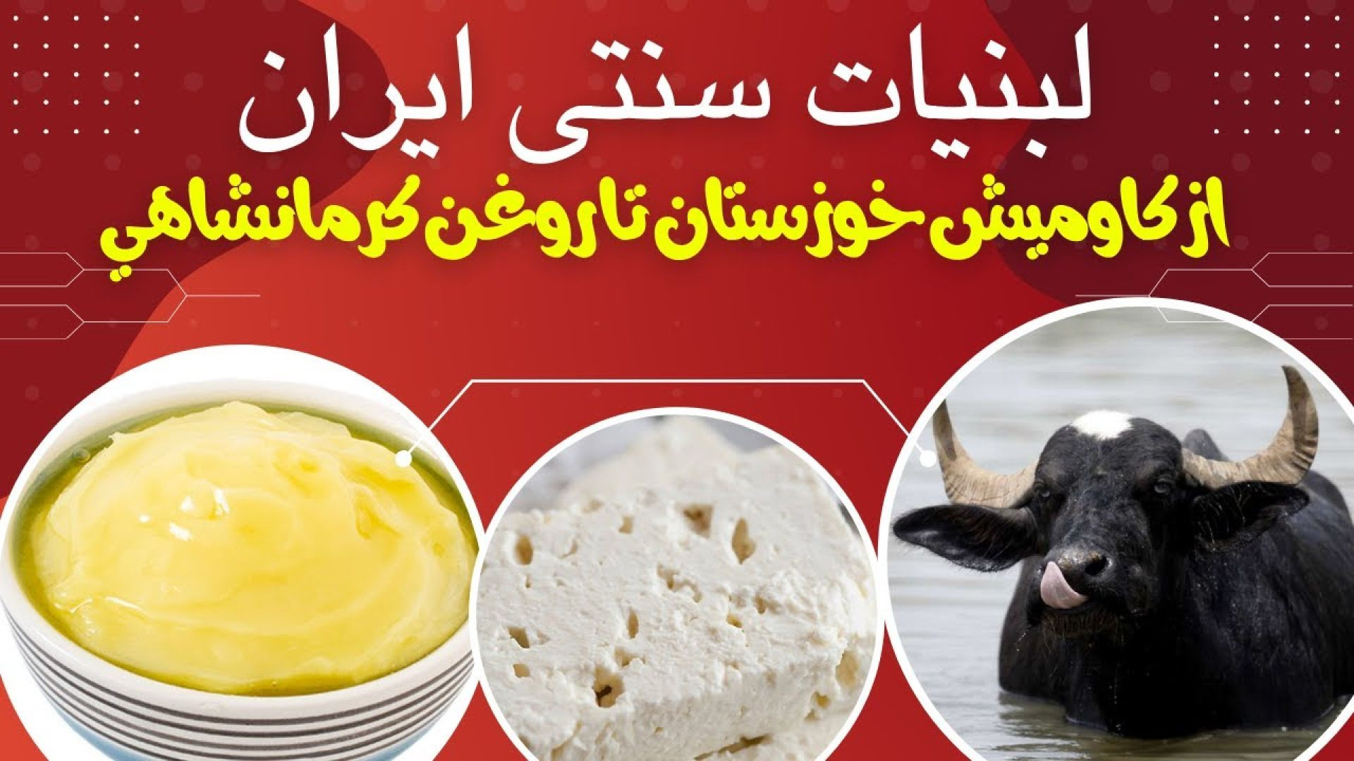 ⁣لبنیات سنتی ایران: از گاومیش خوزستان تا روغن  کرمانشاهی اصل